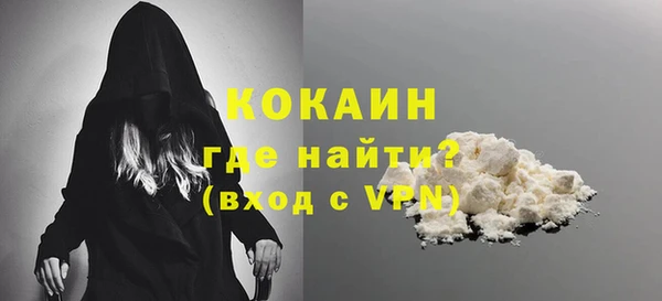 прущие грибы Красноперекопск