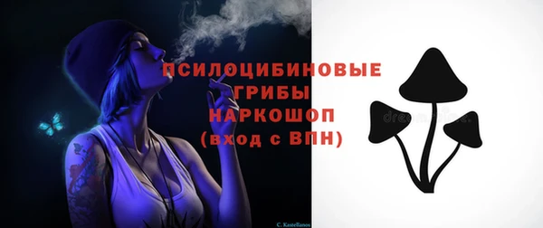 прущие грибы Красноперекопск