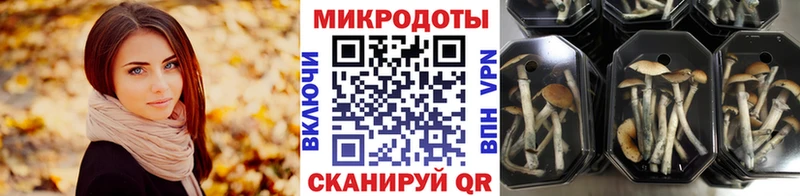 Псилоцибиновые грибы MAGIC MUSHROOMS  Поворино 